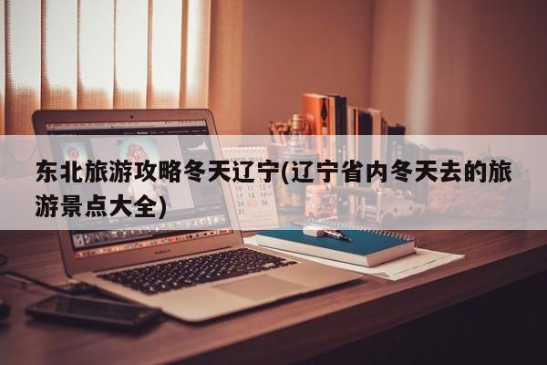 东北旅游攻略冬天辽宁(辽宁省内冬天去的旅游景点大全) 第1张