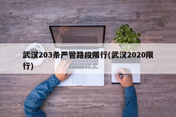 武汉203条严管路段限行(武汉2020限行)