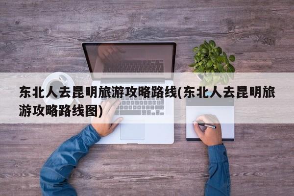 东北人去昆明旅游攻略路线(东北人去昆明旅游攻略路线图)