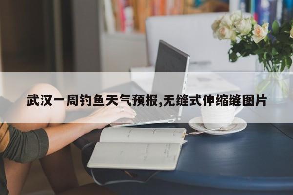 武汉一周钓鱼天气预报,无缝式伸缩缝图片