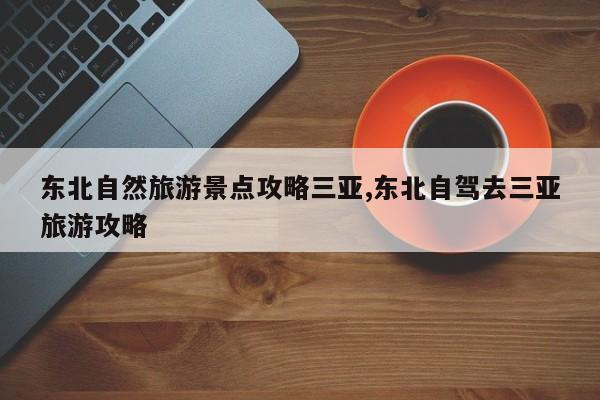 东北自然旅游景点攻略三亚,东北自驾去三亚旅游攻略