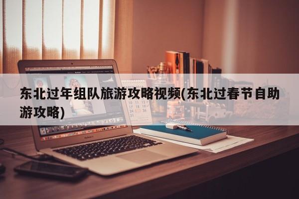 东北过年组队旅游攻略视频(东北过春节自助游攻略)