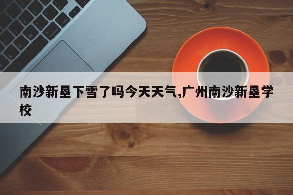南沙新垦下雪了吗今天天气,广州南沙新垦学校 第1张