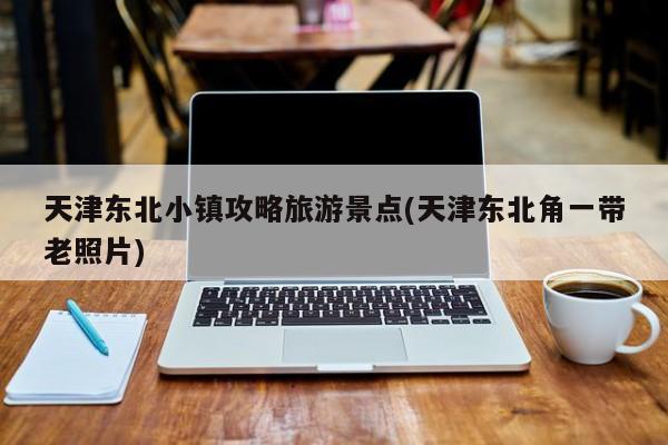 天津东北小镇攻略旅游景点(天津东北角一带老照片)