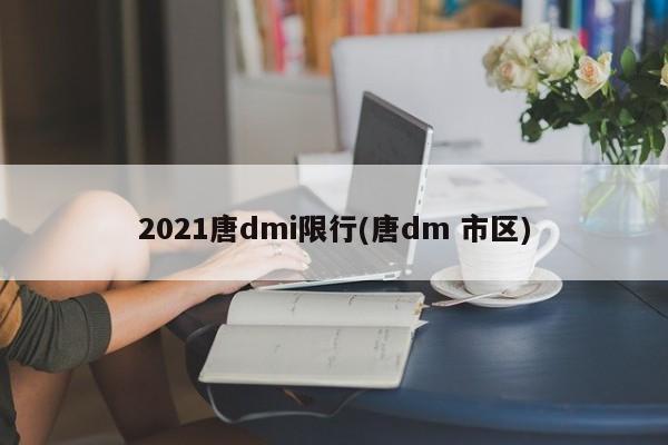 2021唐dmi限行(唐dm 市区) 第1张