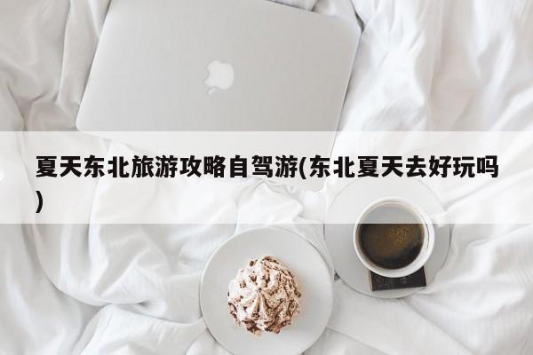 夏天东北旅游攻略自驾游(东北夏天去好玩吗)