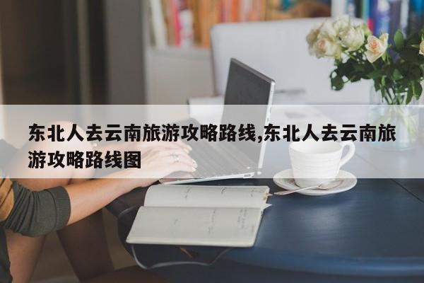 东北人去云南旅游攻略路线,东北人去云南旅游攻略路线图 第1张