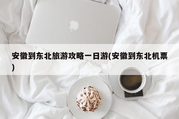 安徽到东北旅游攻略一日游(安徽到东北机票) 第1张