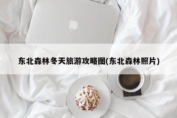 东北森林冬天旅游攻略图(东北森林照片)