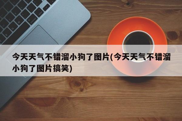 今天天气不错溜小狗了图片(今天天气不错溜小狗了图片搞笑)