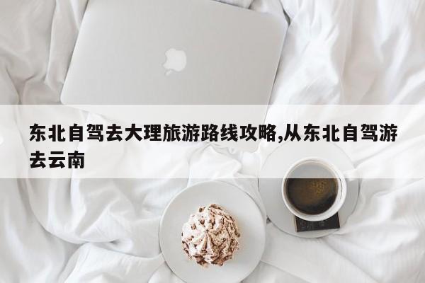 东北自驾去大理旅游路线攻略,从东北自驾游去云南