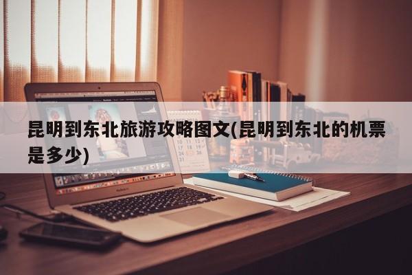 昆明到东北旅游攻略图文(昆明到东北的机票是多少)
